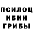 Галлюциногенные грибы ЛСД DENESSIA 02
